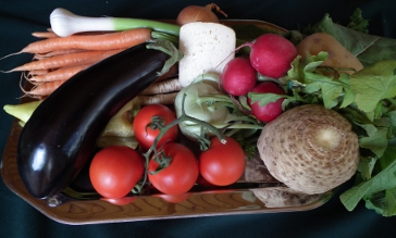 alapanyok vegetariánus étrendhez 